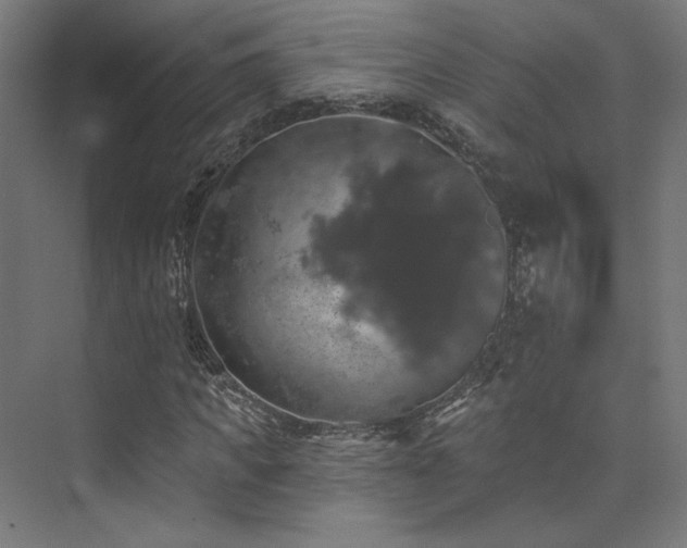 X0000074040917200608211514