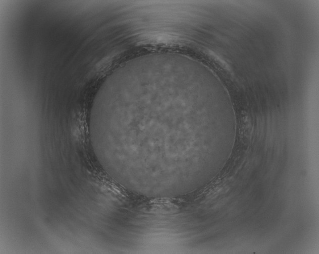 X0000074040918200608211514