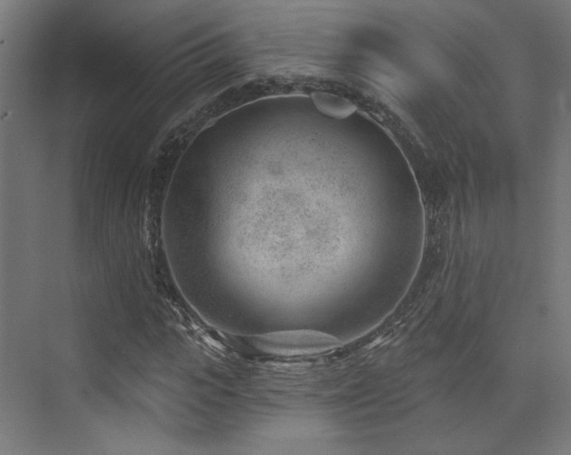 X0000074040919200608211514