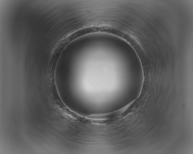 X0000074040920200608211514