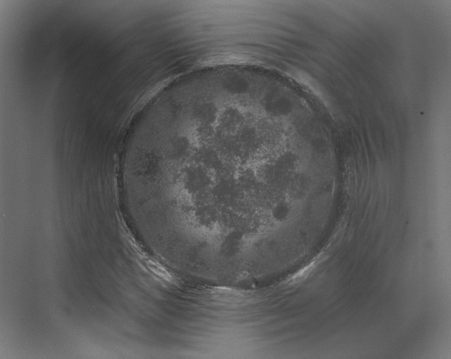 X0000074040921200608211514