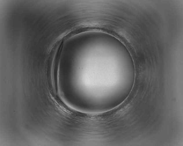 X0000074040922200608211514