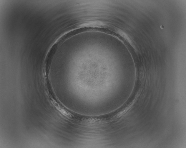 X0000074040923200608211514