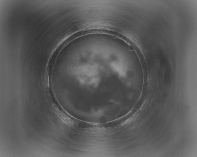 X0000074040925200608211514