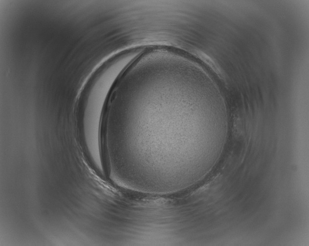 X0000074040926200608211514