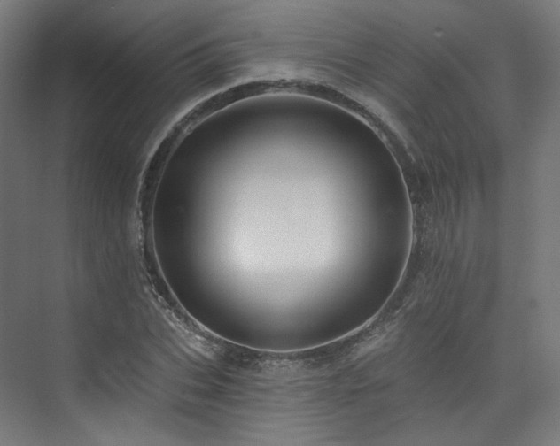 X0000074040927200608211514