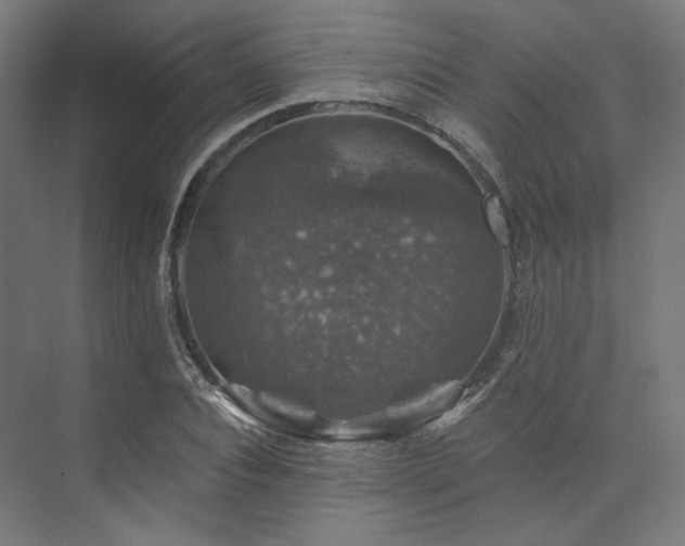 X0000074040928200608211514