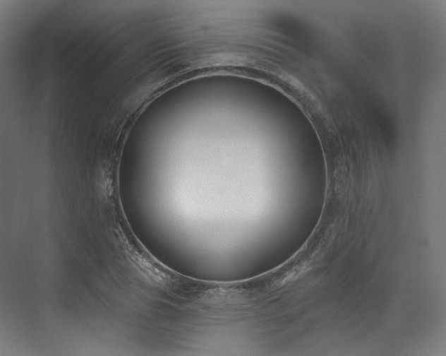 X0000074040929200608211514