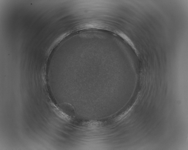 X0000074040930200608211515