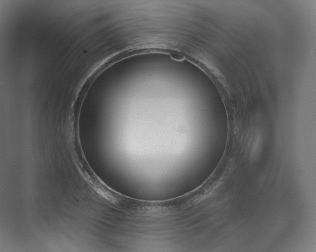 X0000074040933200608211515