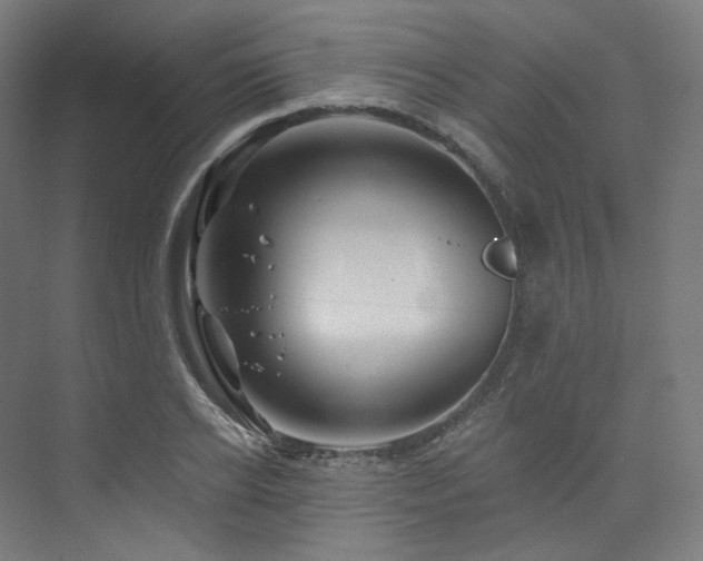 X0000074040934200608211515