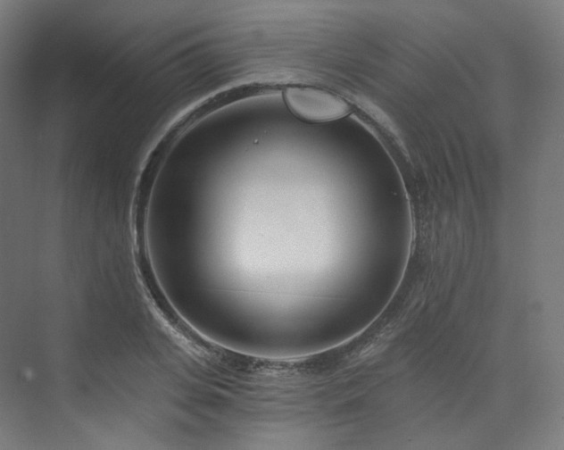 X0000074040935200608211515