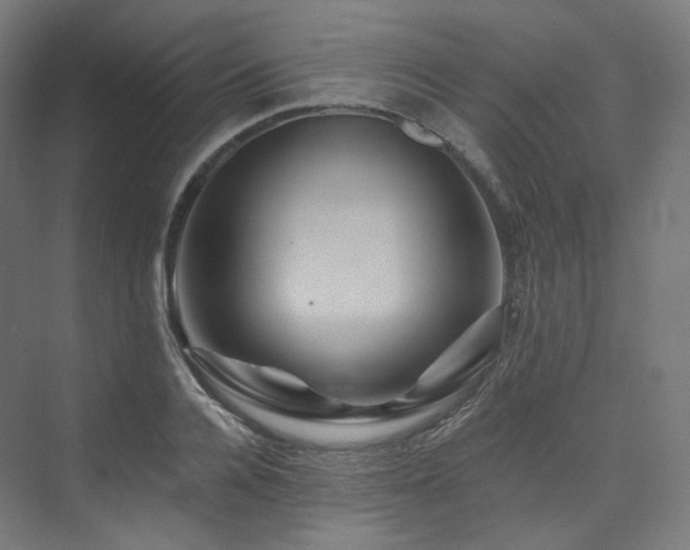 X0000074040936200608211515