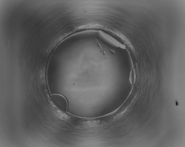 X0000074040937200608211515