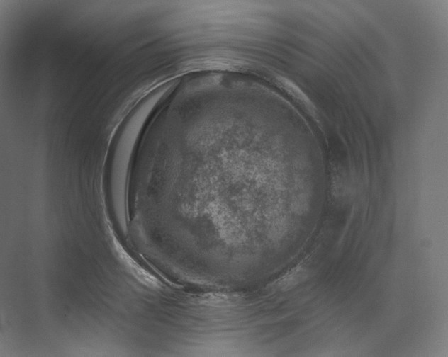 X0000074040938200608211515