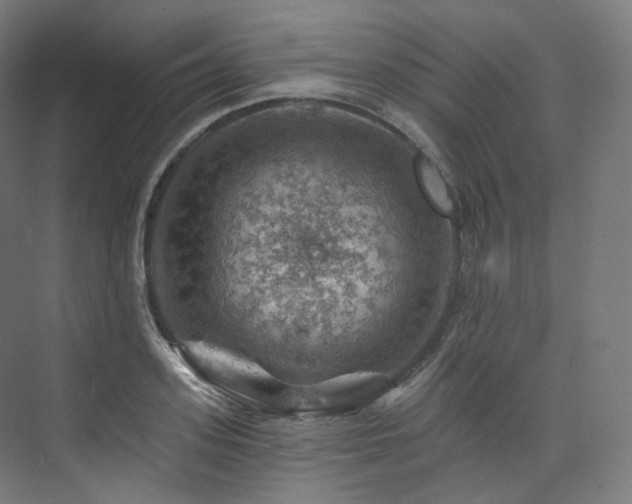 X0000074040939200608211515