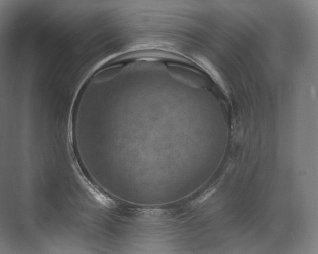 X0000074040940200608211515