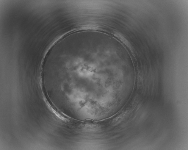 X0000074040941200608211515