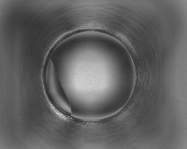 X0000074040942200608211515