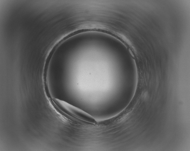 X0000074040943200608211515