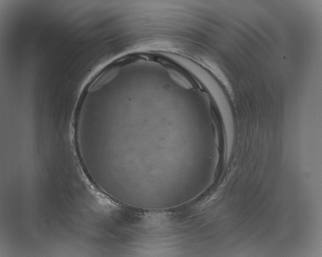 X0000074040944200608211515