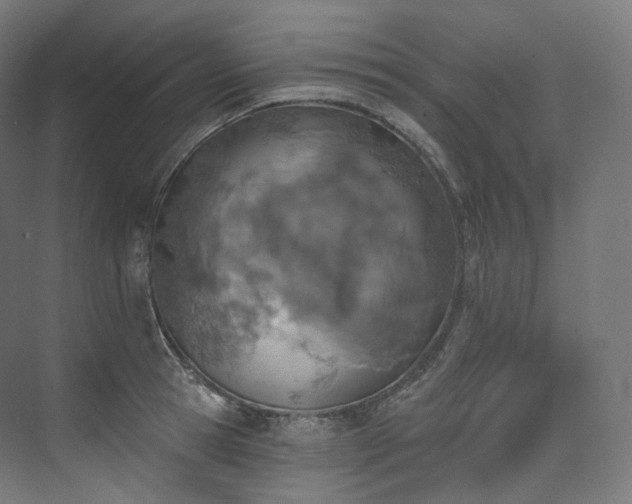 X0000074040945200608211515