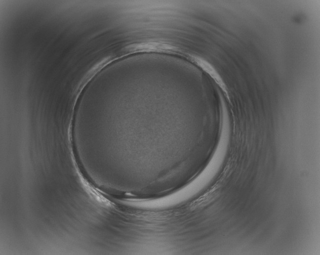 X0000074040946200608211515