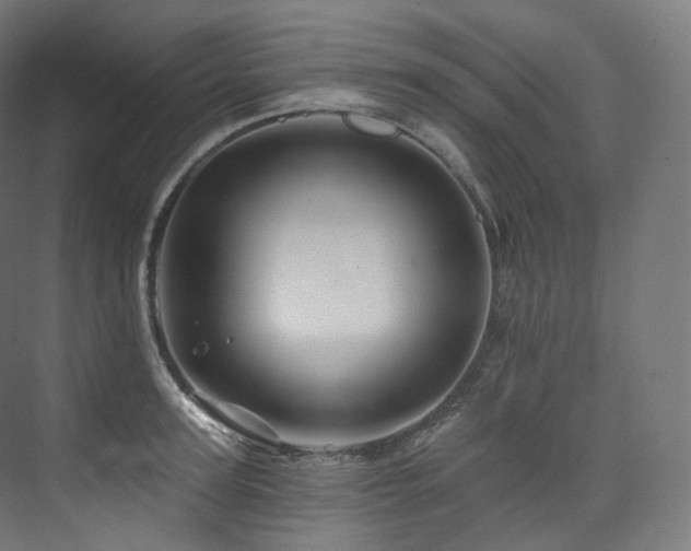 X0000074040947200608211515