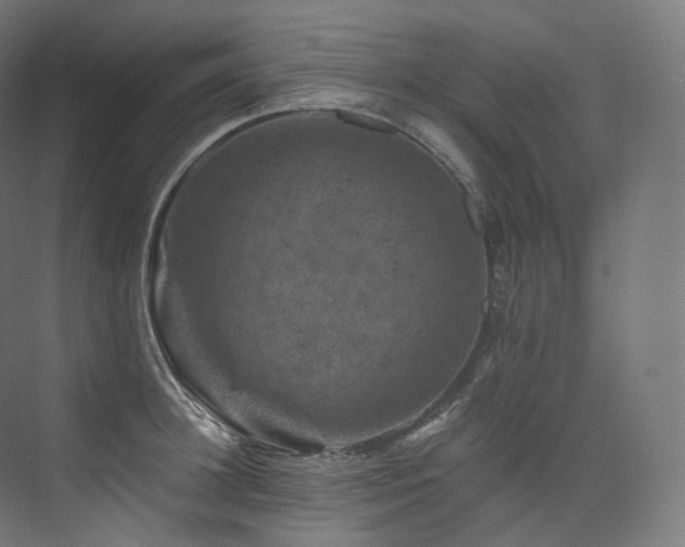 X0000074040948200608211515