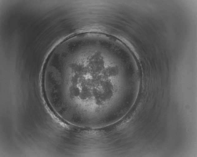 X0000074040949200608211515