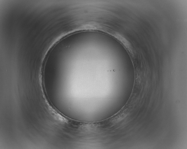 X0000074040950200608211515