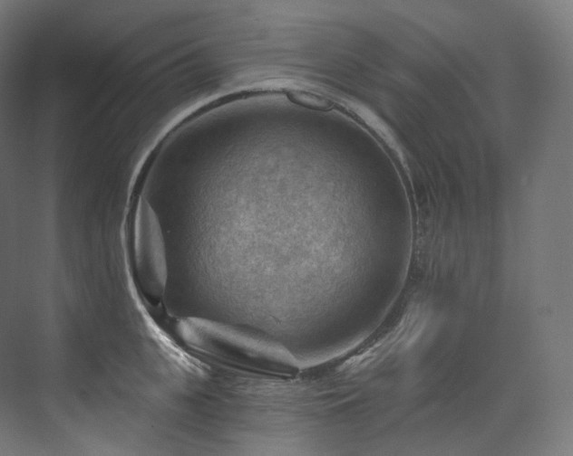 X0000074040951200608211515