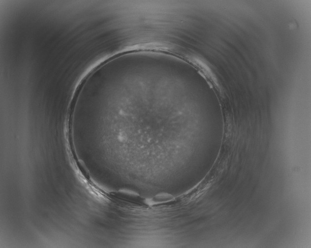 X0000074040952200608211515