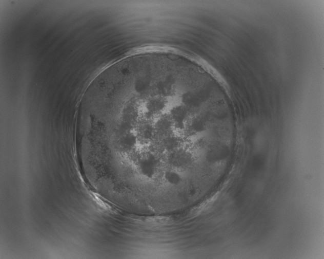 X0000074040953200608211515