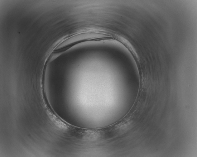 X0000074040954200608211515