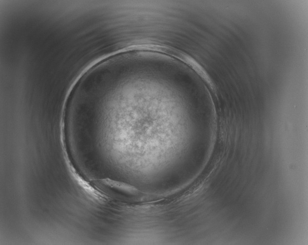 X0000074040955200608211515