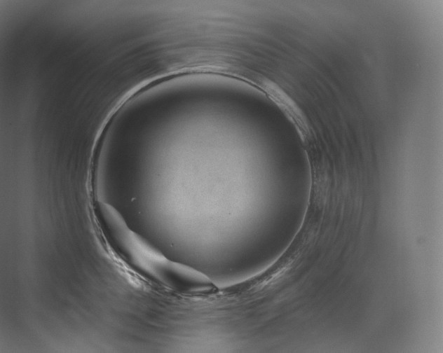 X0000074040956200608211515