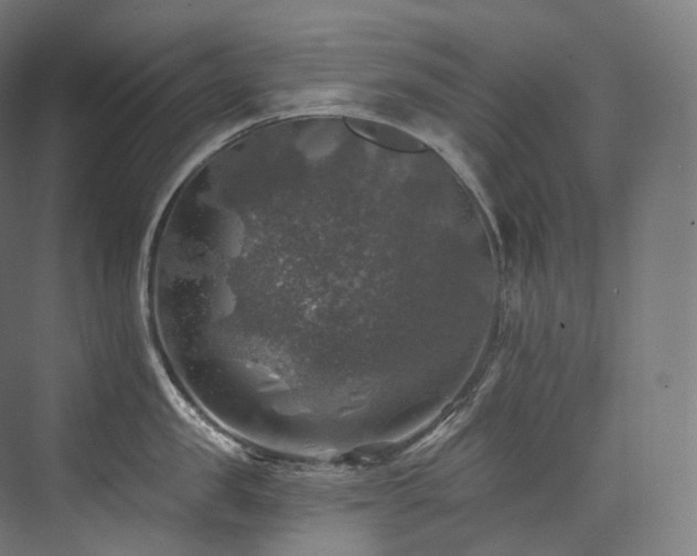 X0000074040957200608211515