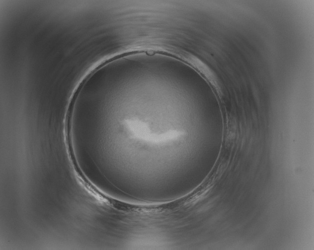 X0000074040958200608211515