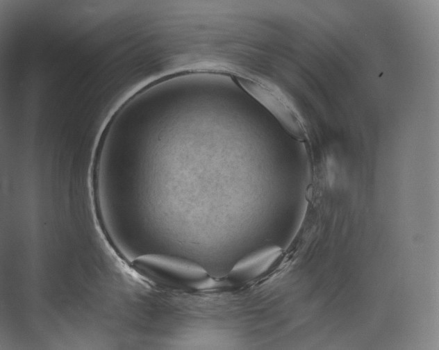 X0000074040959200608211515