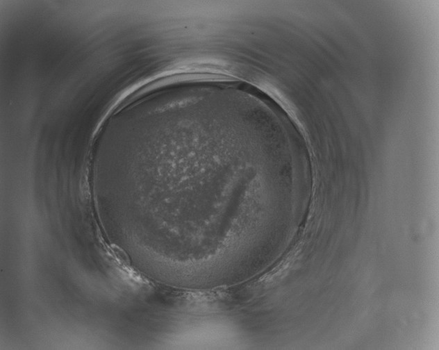 X0000074040960200608211515