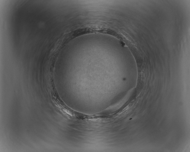 X0000074040961200608211514