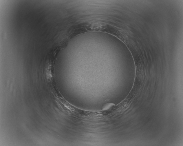 X0000074040962200608211514