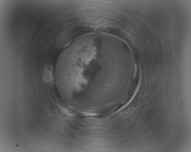 X0000074040963200608211514