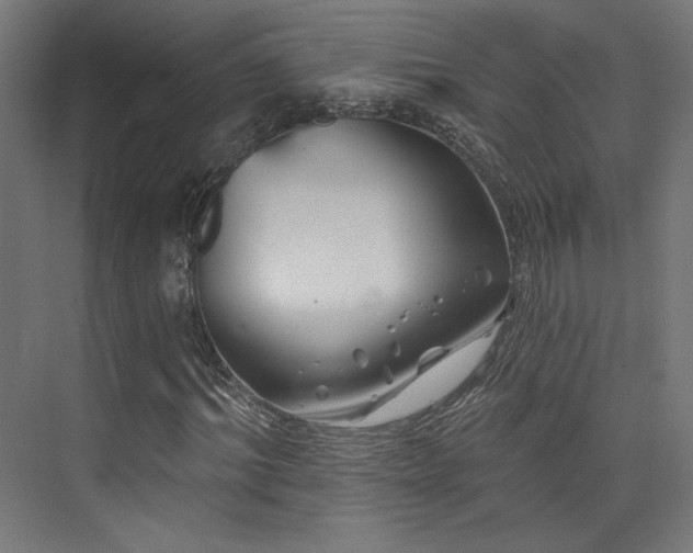X0000074040964200608211514
