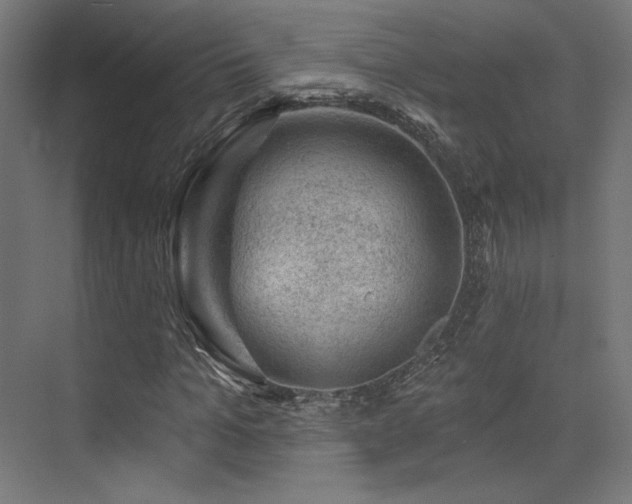 X0000074040965200608211514