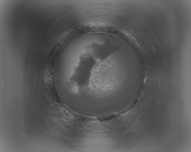 X0000074040966200608211514