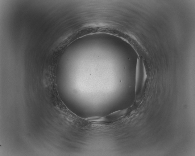 X0000074040967200608211514