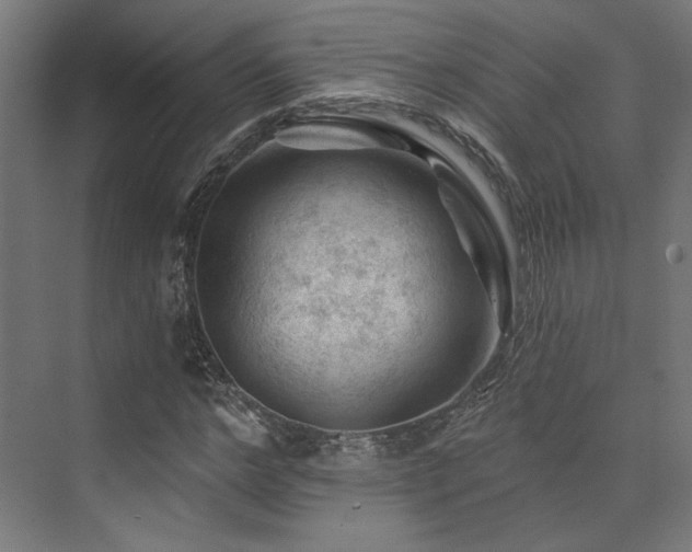 X0000074040968200608211514