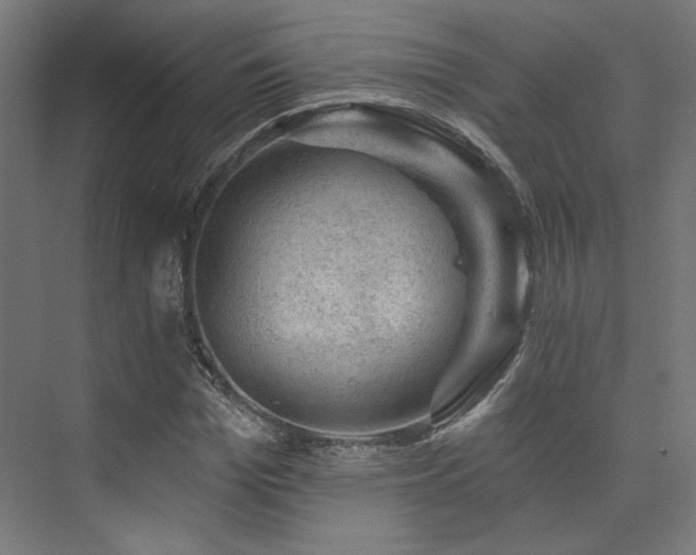 X0000074040969200608211514